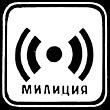 Shedrin